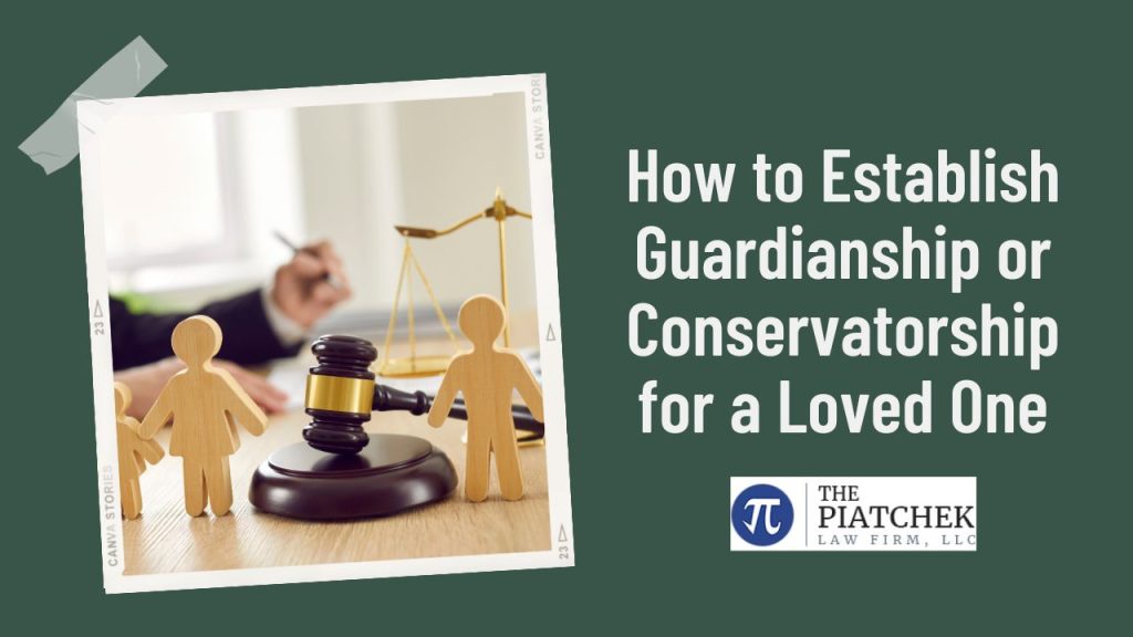 how to set up a conservatorship